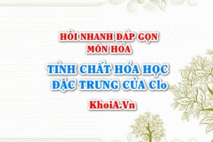 Tính chất hóa học đặc trưng của Clo (Cl2) là gì? Hỏi nhanh đáp gọn môn Hóa
